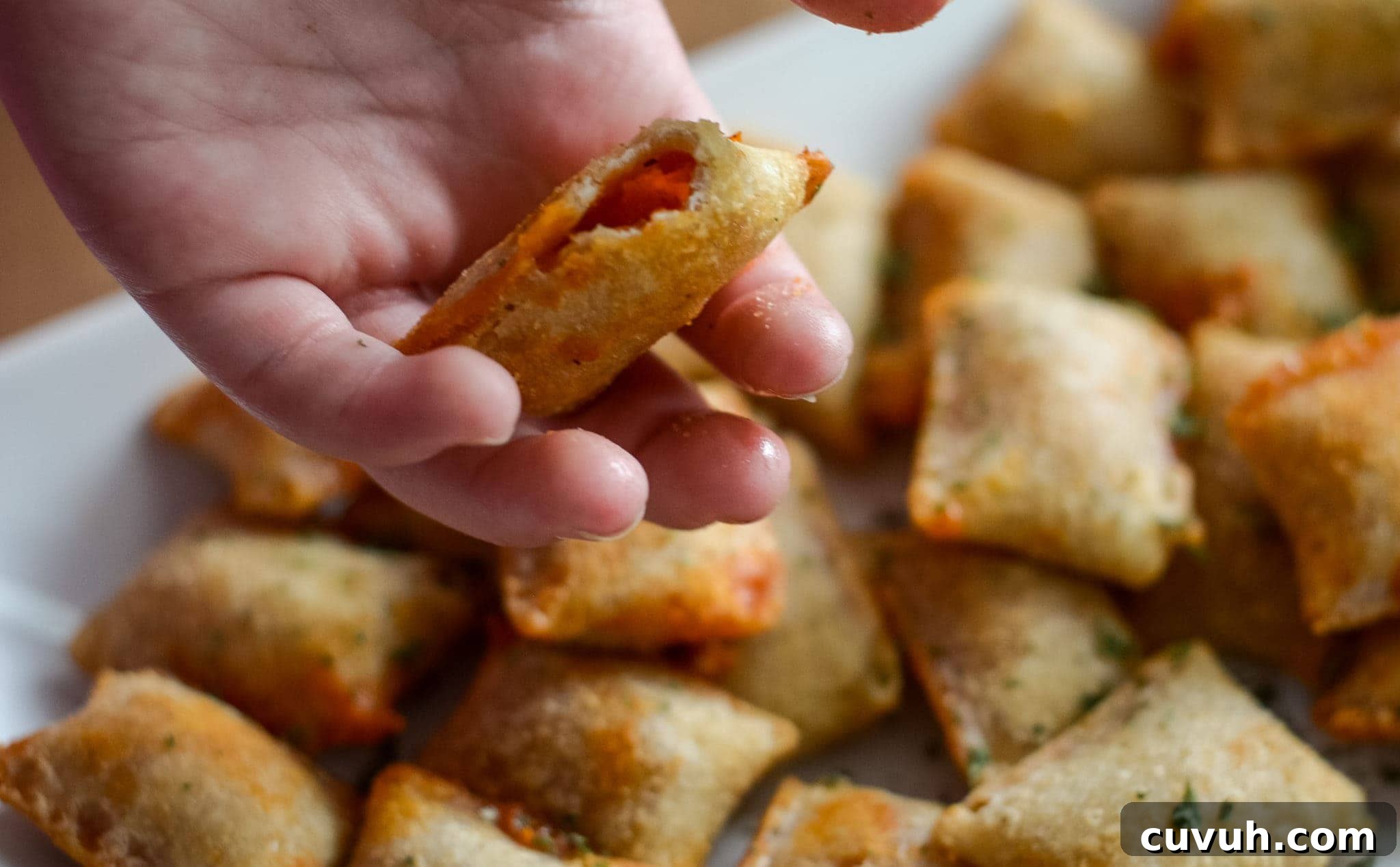 Crispy Air Fryer Pizza Rolls Ready in 8 Minutes 5 air fryer pizza rolls