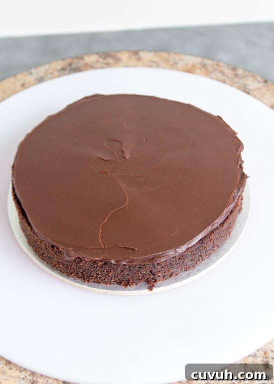One cake layer spread with dark chocolate ganache.