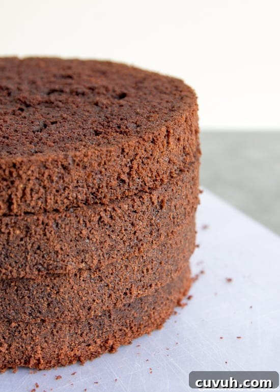 Four stacked layers of chocolate cake.