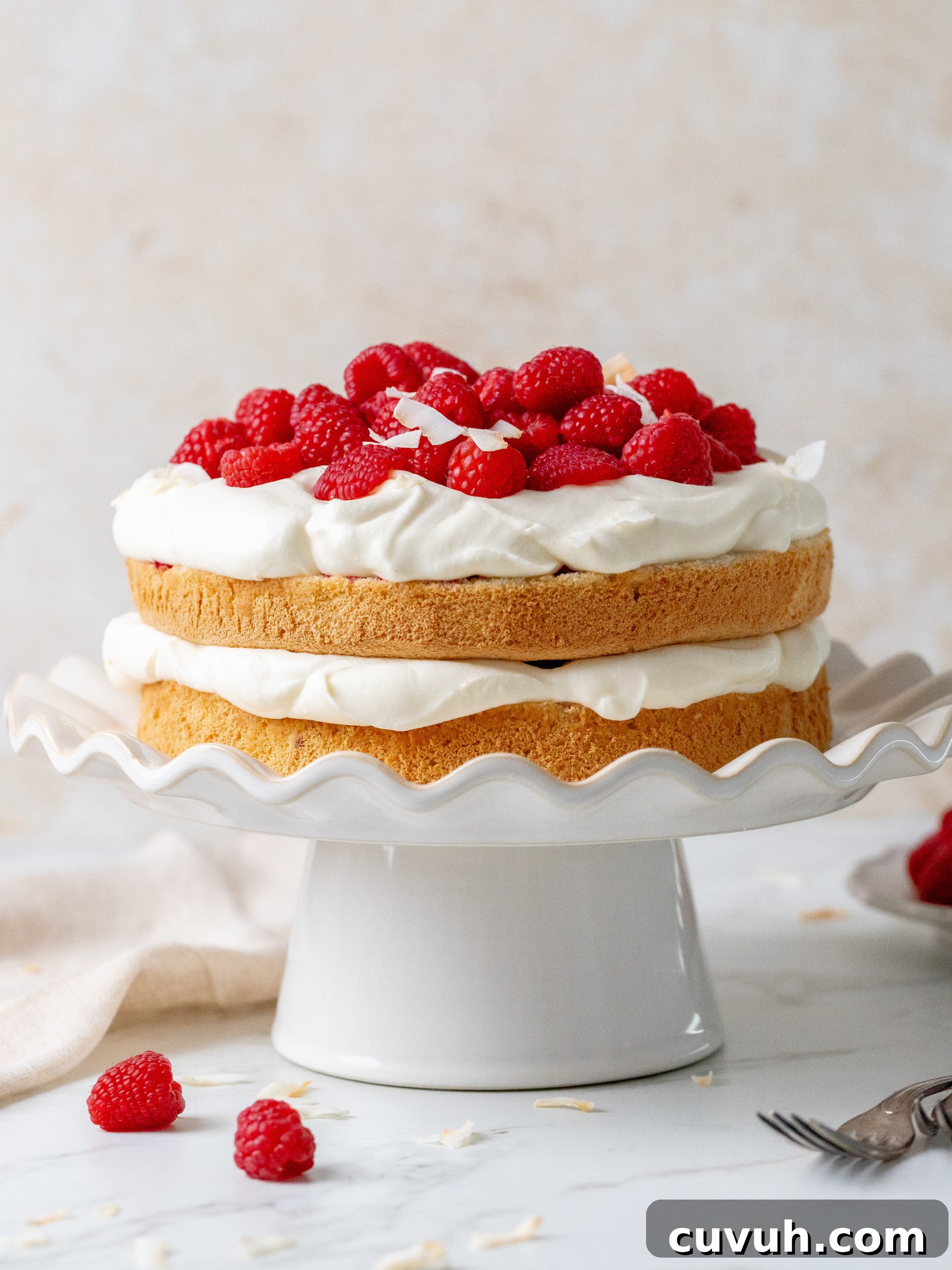 Coconut Raspberry Layer Cake with Coconut Cream Frosting 3 img 20357 2