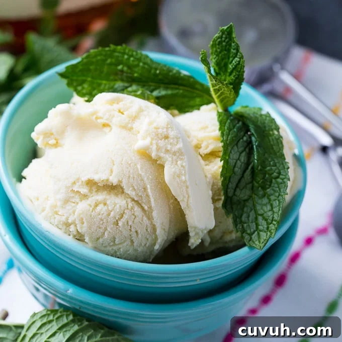 Mint Julep Ice Cream Recipe: Bourbon Mint Ice Cream for Summer 2 Mint Julep Ice Cream