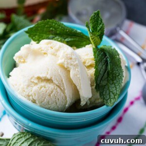 Mint Julep Ice Cream Recipe: Bourbon Mint Ice Cream for Summer 5 Mint Julep Ice Cream