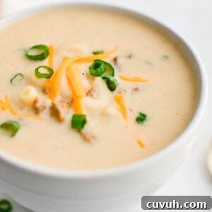 cheesy hamburger soup in a white bowl
