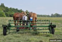Who Are the Amish? Gloria’s Famous Glazed Apple Pie Recipe