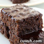 Brownies With Chocolate Topping - Featured Image