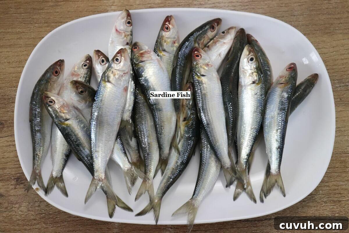fresh sardines arranged on a plate to make sardine curry.