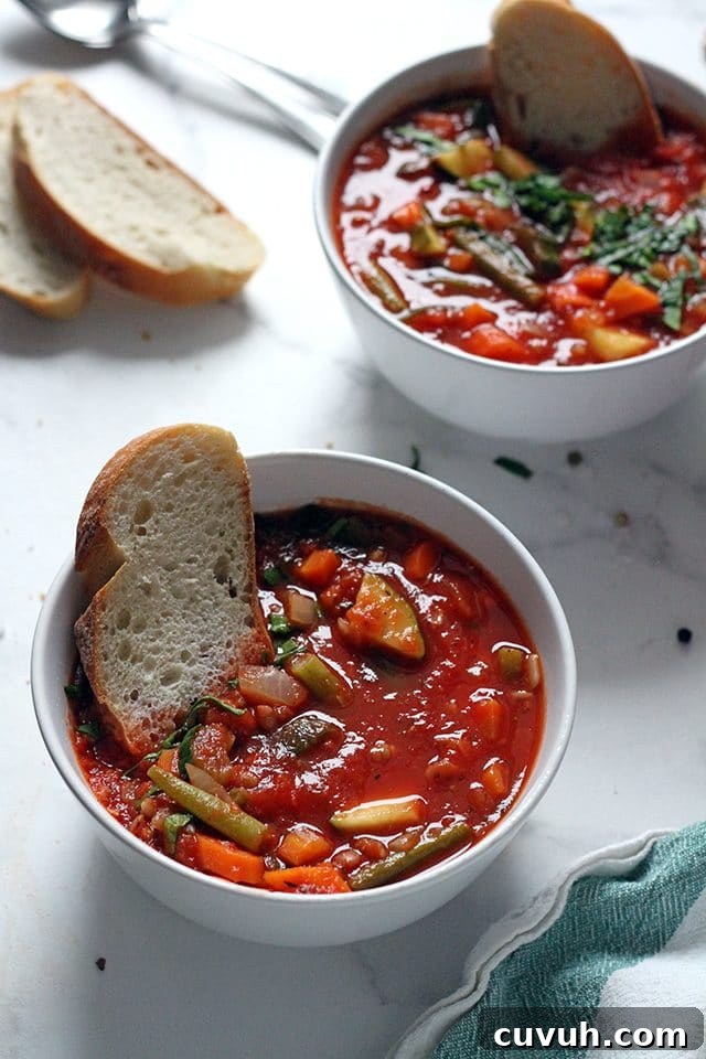 Vegan Minestrone Soup in a Bowl Closeup