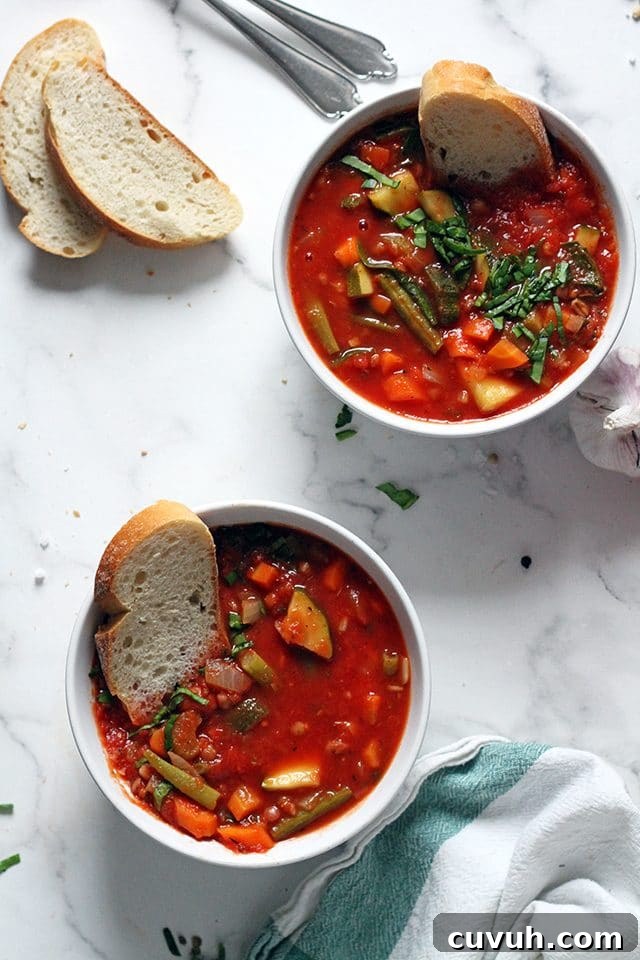 Vegan Minestrone Soup in Two Bowls