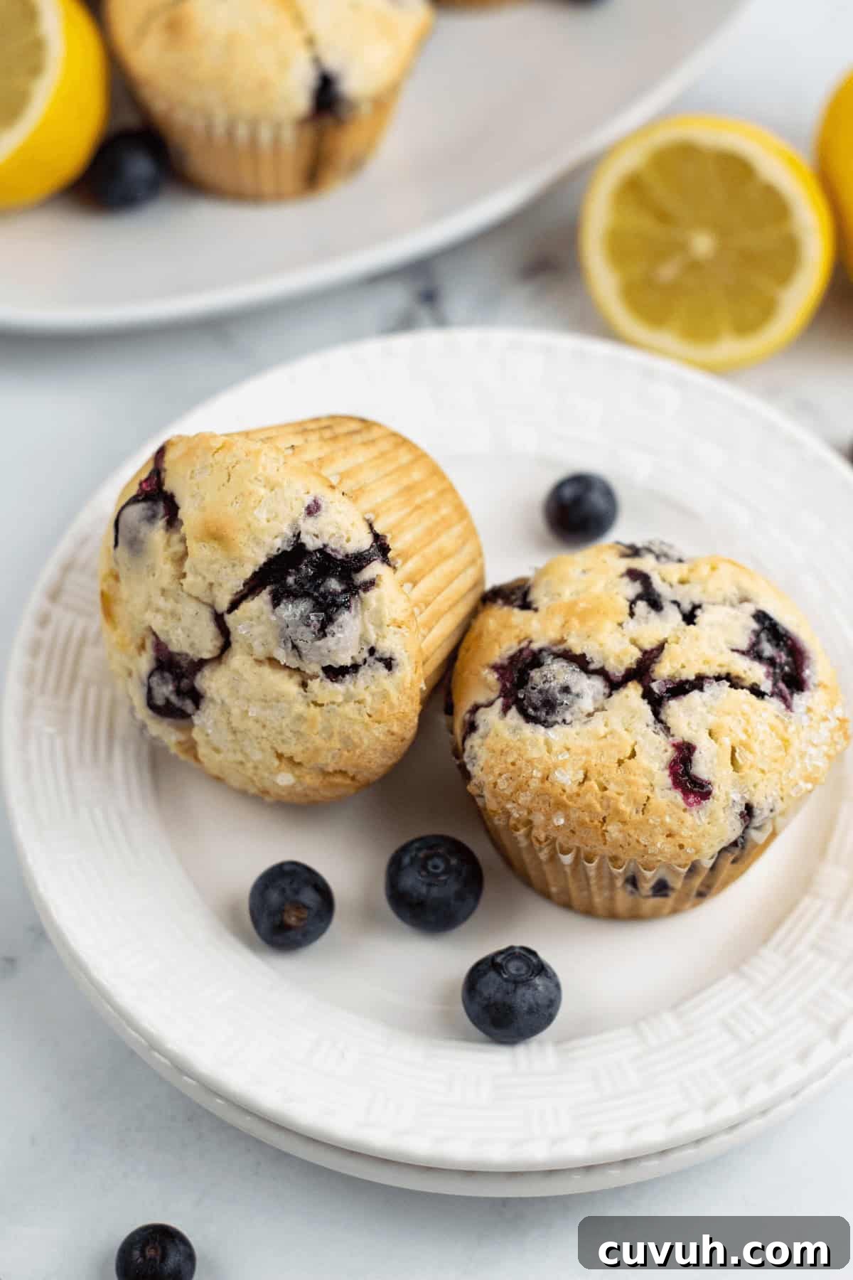 Lemon Blueberry Muffins with Luscious Citrus Glaze 3 Two blueberry lemon muffins on a white plate, surrounded by whole blueberries and halved lemons.