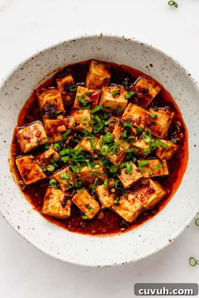 mapo tofu in a white speckled bowl topped with scallions