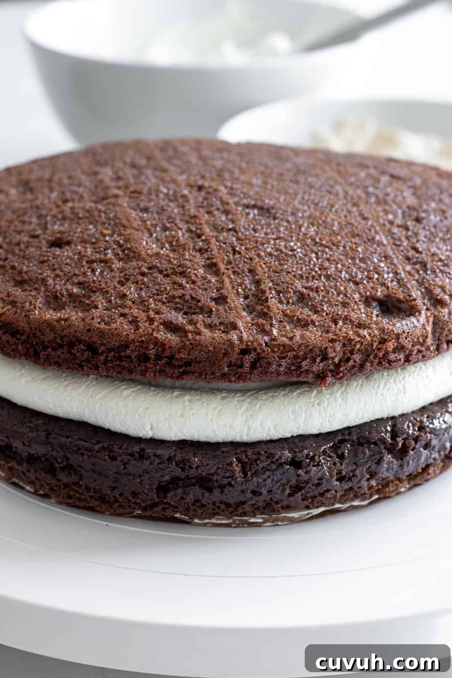 2 layer of chocolate cake with tiramisu cream in the middle