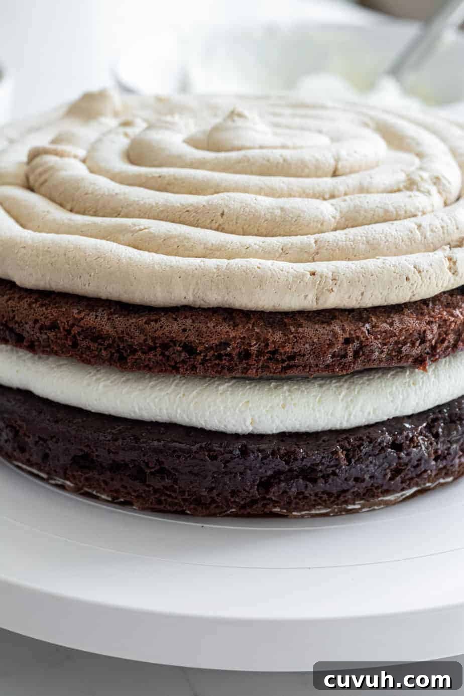 2 layers of chocolate cake with tiramisu filling and espresso cream filling