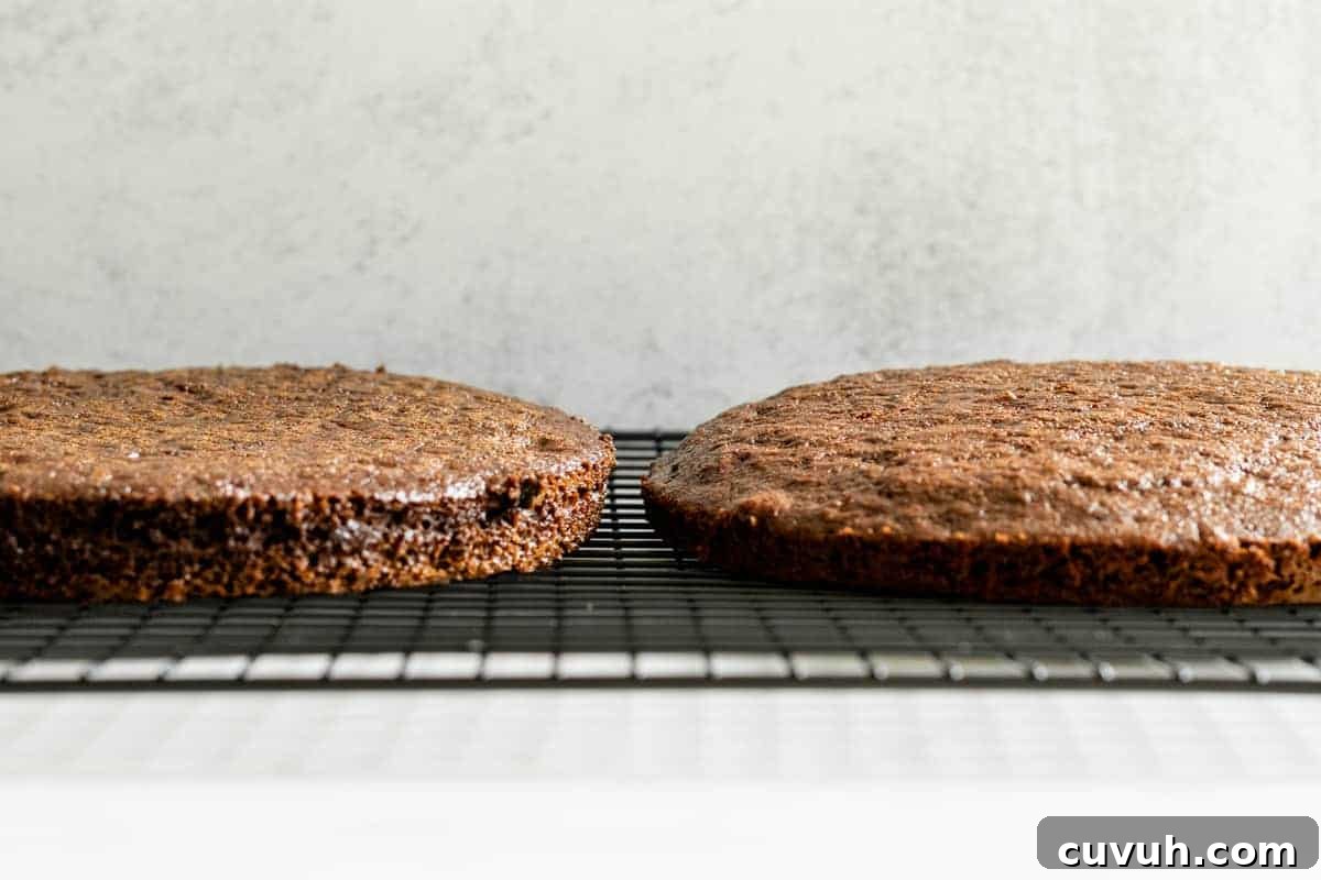 2 chocolate cake layers on a black wire cooling rack
