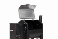 Green Mountain Grills Trek Review 2023 — Worth the Buy?
