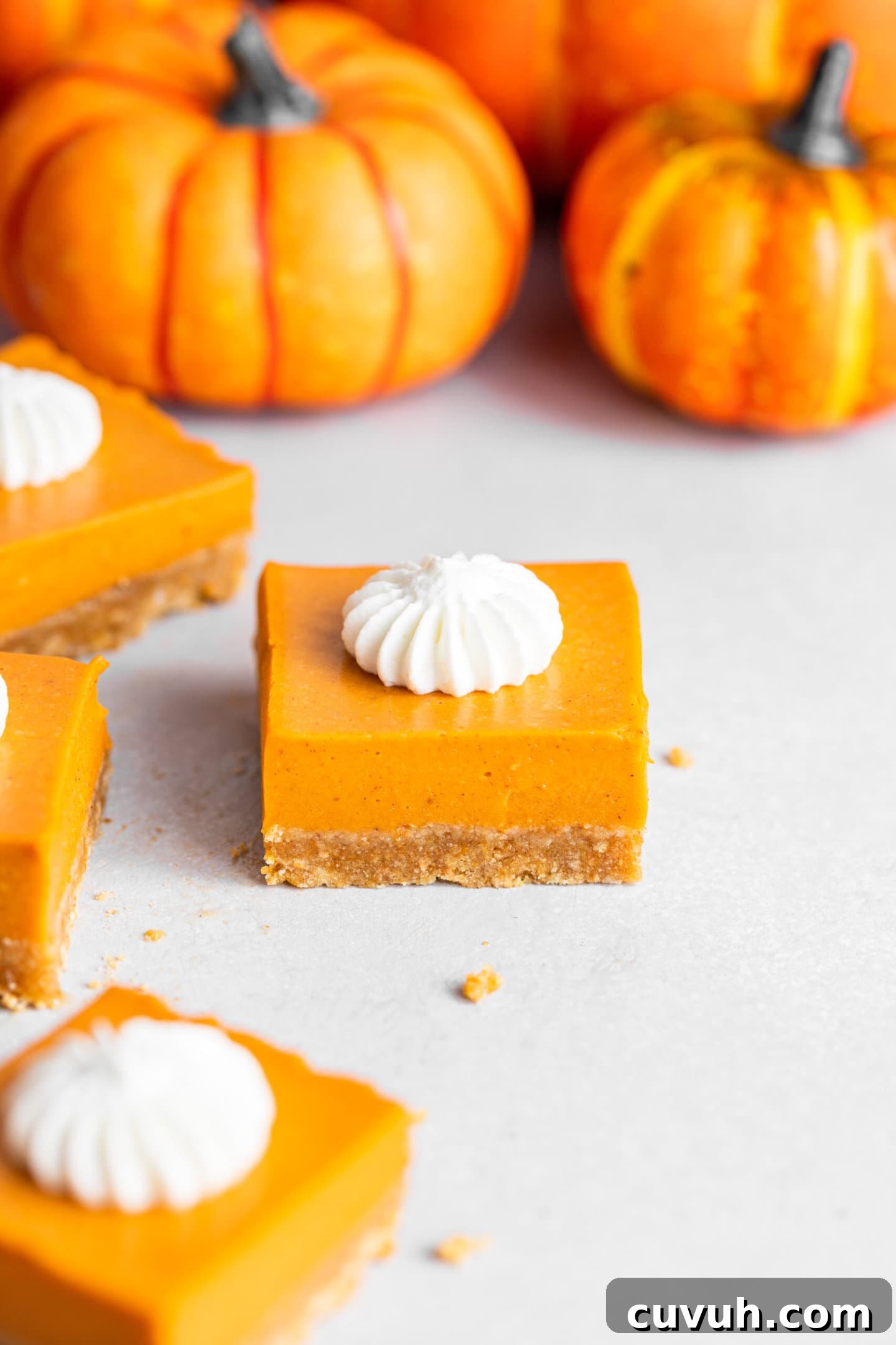 Creamy No-Bake Pumpkin Pie Bars Recipe for Fall Gatherings 5 No-Bake Pumpkin Pie Bars with whipped cream piped on top surrounded by small pumpkins