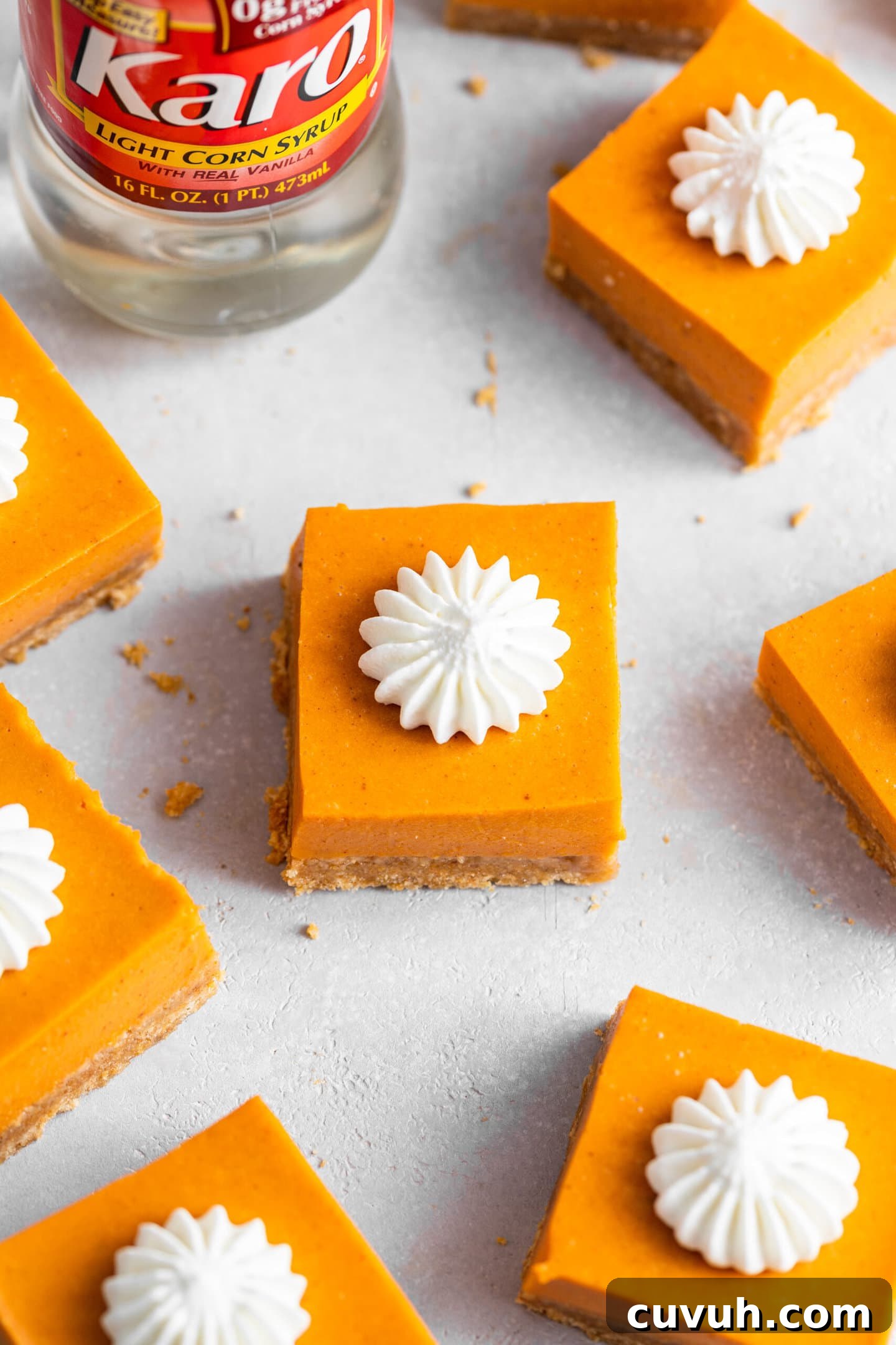 Creamy No-Bake Pumpkin Pie Bars Recipe for Fall Gatherings 6 No-Bake Pumpkin Pie Bars with whipped cream piped on top scattered next to a bottle of Karo light corn syrup