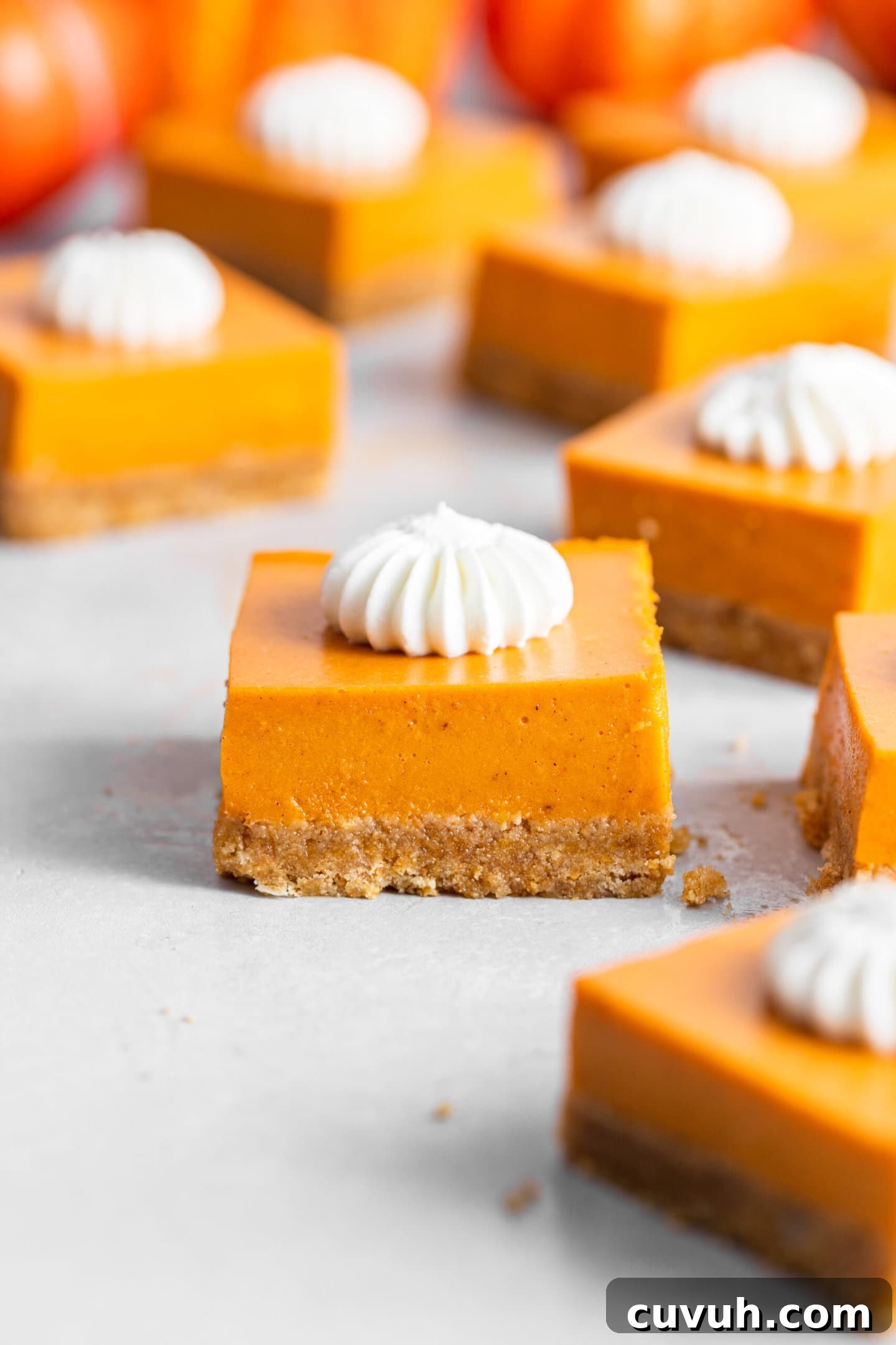 Creamy No-Bake Pumpkin Pie Bars Recipe for Fall Gatherings 7 No-Bake Pumpkin Pie Bars with whipped cream on top
