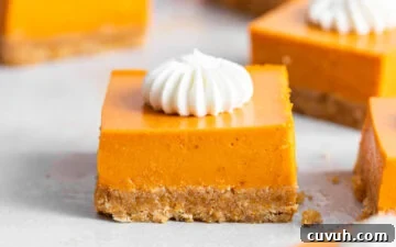 No-Bake Pumpkin Pie Bars with whipped cream on top