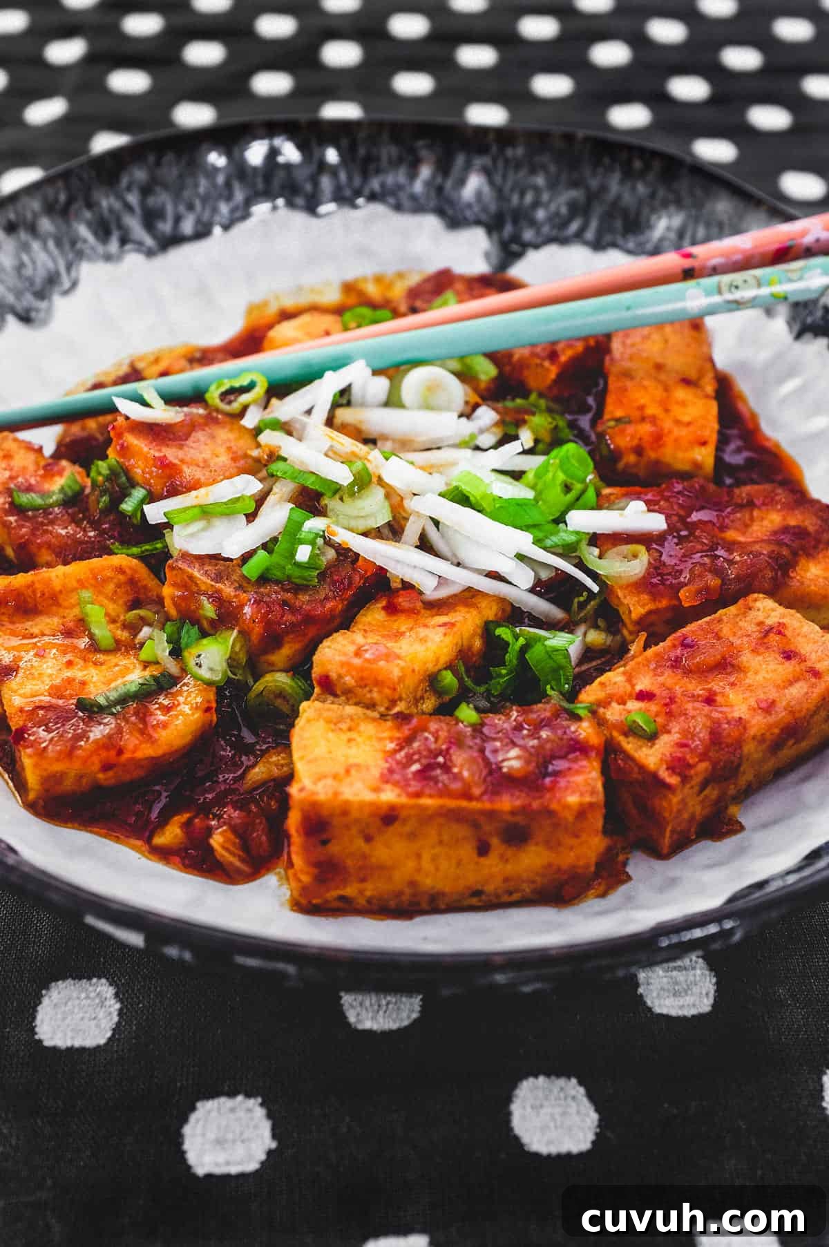 Korean Braised Tofu (Dubu Jorim) Fried tofu is lightly braised in Korean chilli (gochugaru) and topped with radish and spring onion