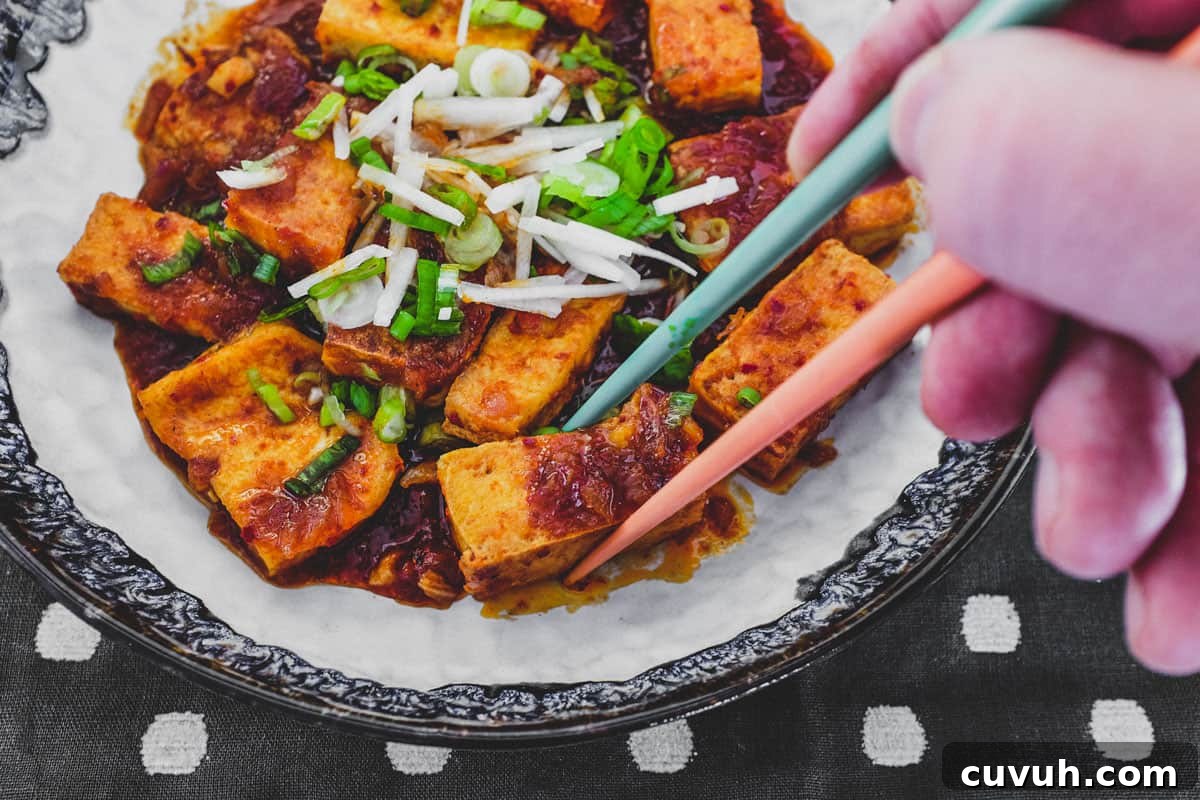 Finished dish Fried tofu is lightly braised in Korean chilli (gochugaru) and topped with radish and spring onion