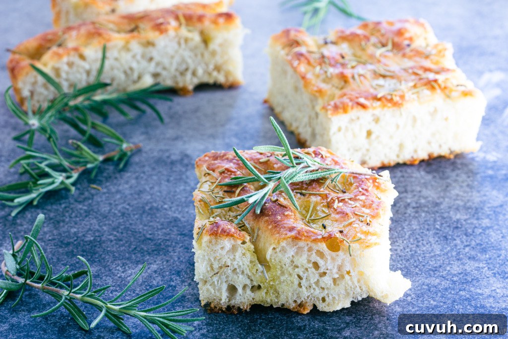 no knead focaccia bread