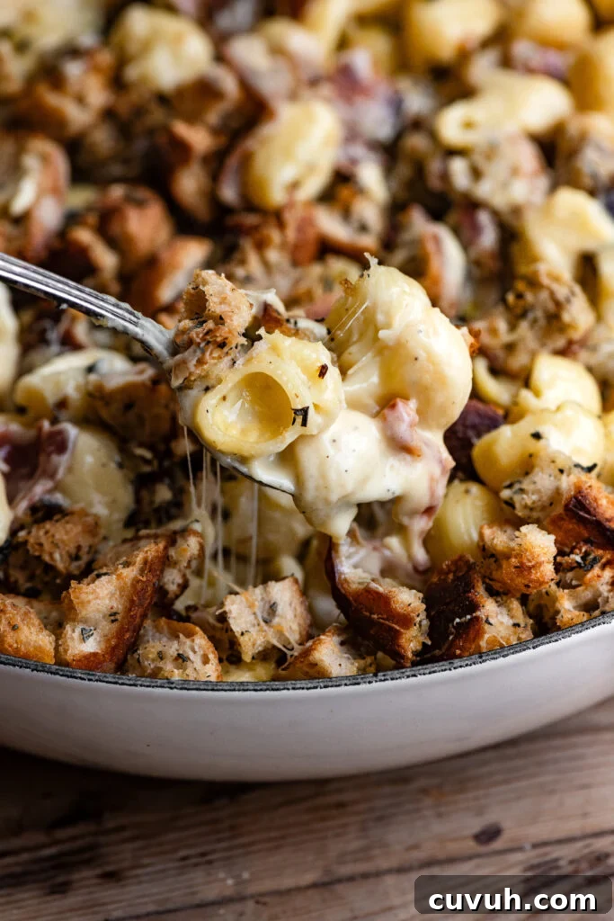 Creamy Baked Macaroni and Cheese Casserole 2 A spoon scooping cheesy noodles from a baked casserole dish.