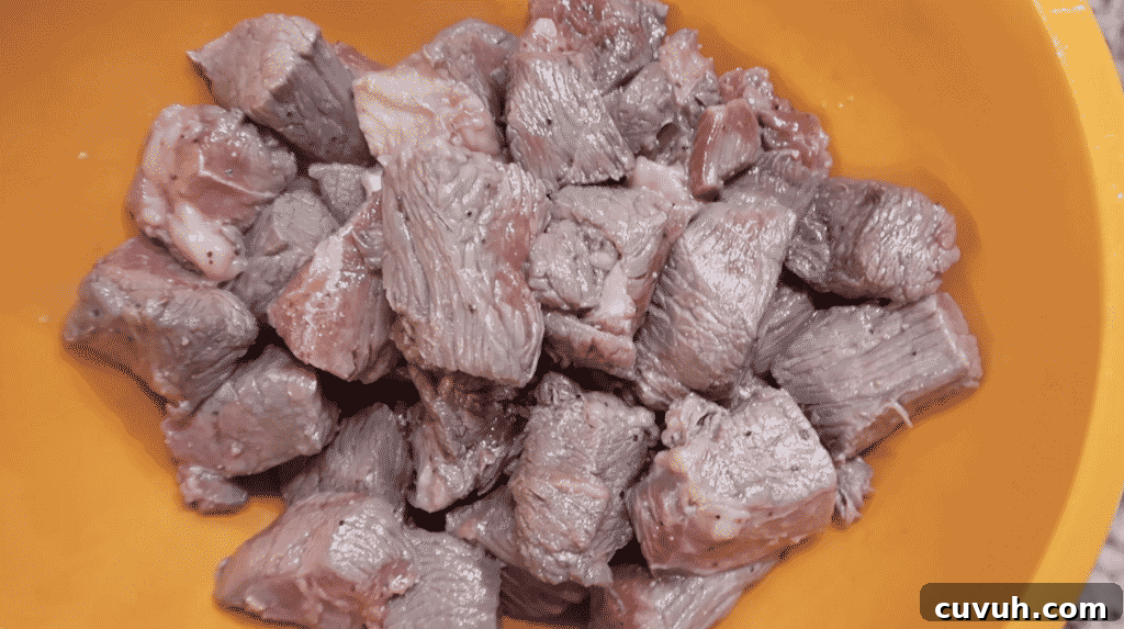 Remove the lightly seared meat to a bowl and set aside.