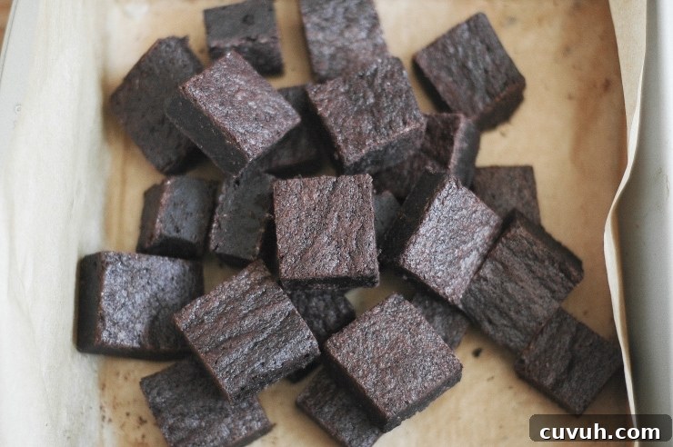 Decadent Cocoa Brownies Recipe That Melts in Your Mouth 2 Best Cocoa Brownies Recipe | sophisticatedgourmet.com