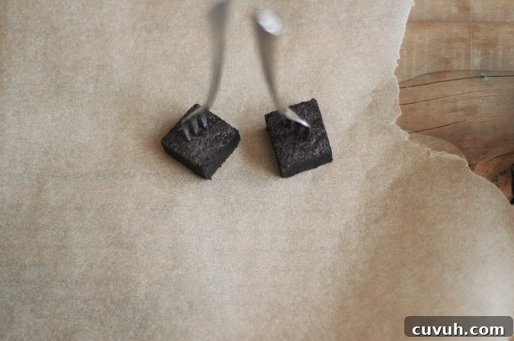 Decadent Cocoa Brownies Recipe That Melts in Your Mouth 3 Best Cocoa Brownies Recipe | sophisticatedgourmet.com
