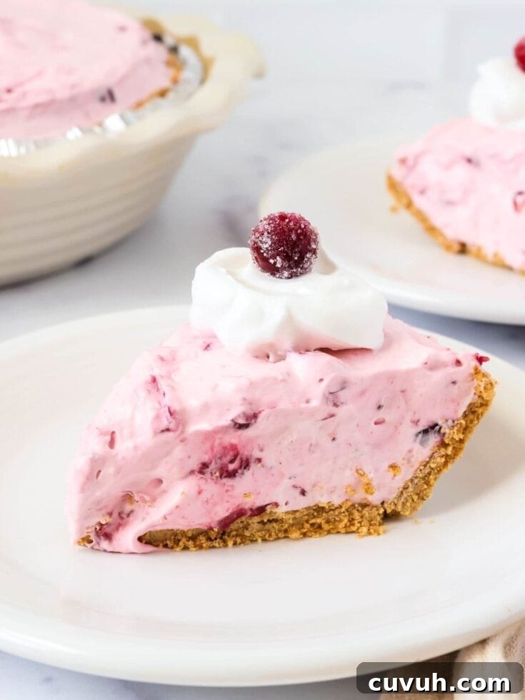 No-Bake Cranberry Pie slice served on a white plate, garnished with whipped cream and a whole cranberry.
