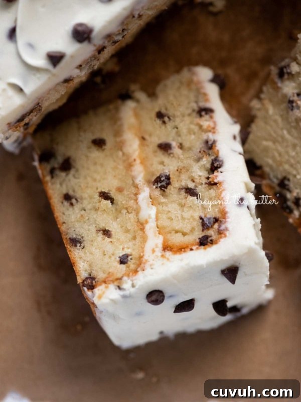 Slice of 2 layer chocolate chip cake