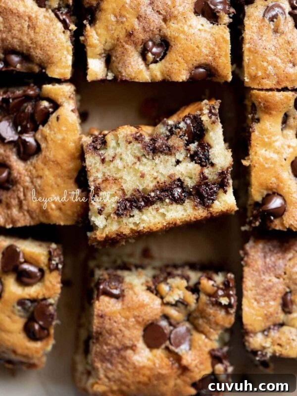 Sliced squares of chocolate chip sour cream coffee cake