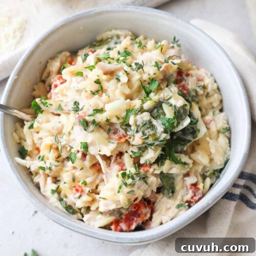 glass bowl with baked chicken orzo pasta topped with parsley.
