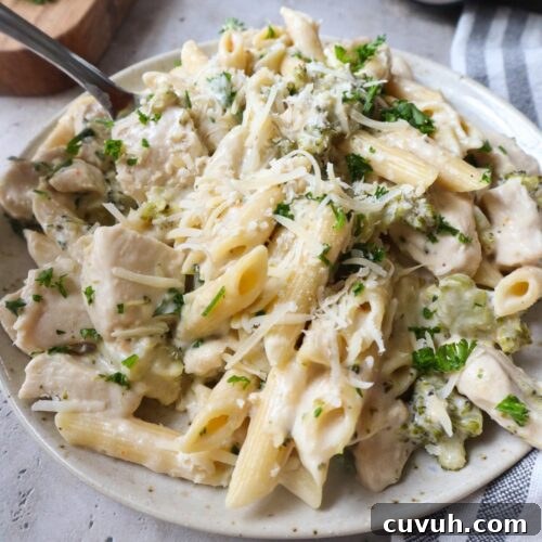 white plate with chicken alfredo with broccoli topped with fresh parsley and parmesan.