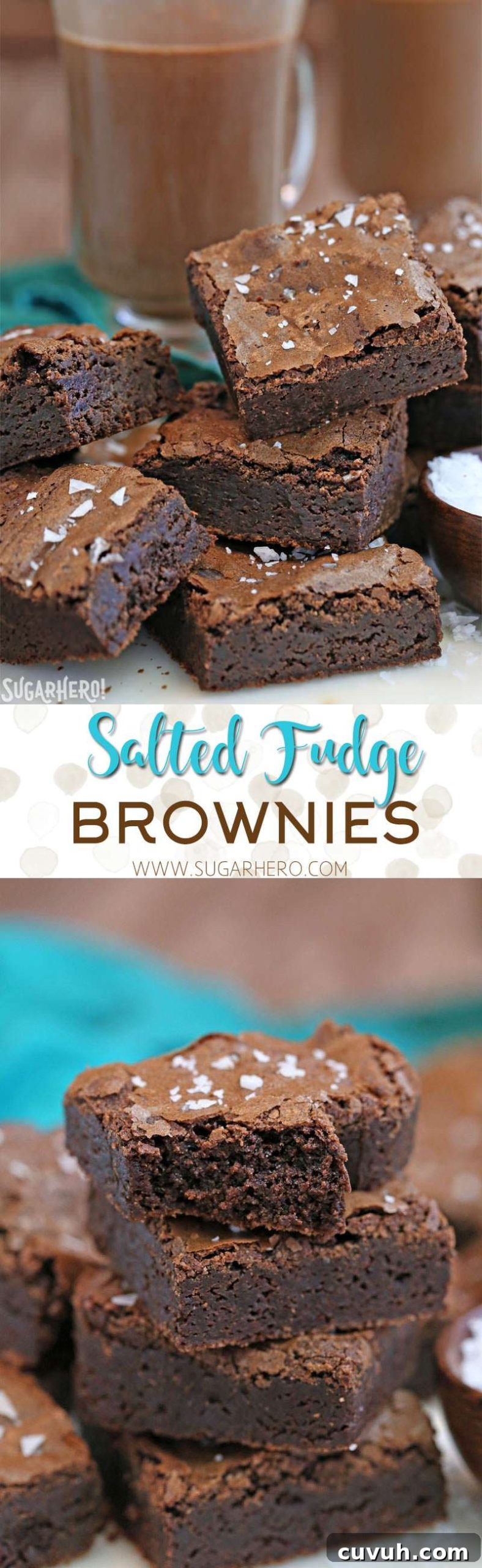 Salted Fudge Brownies - rich and fudgy brownies with big flakes of sea salt!