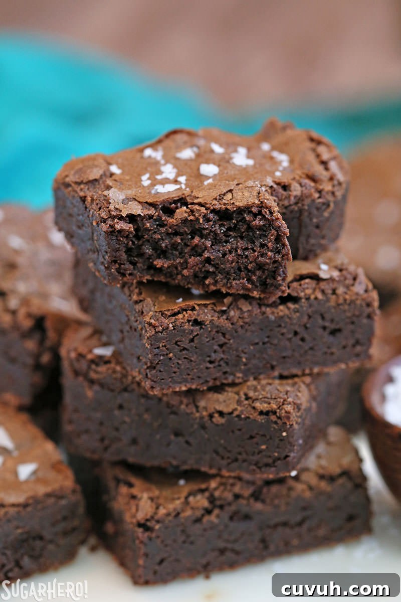 Salted Fudge Brownies - rich and fudgy brownies with big flakes of sea salt!