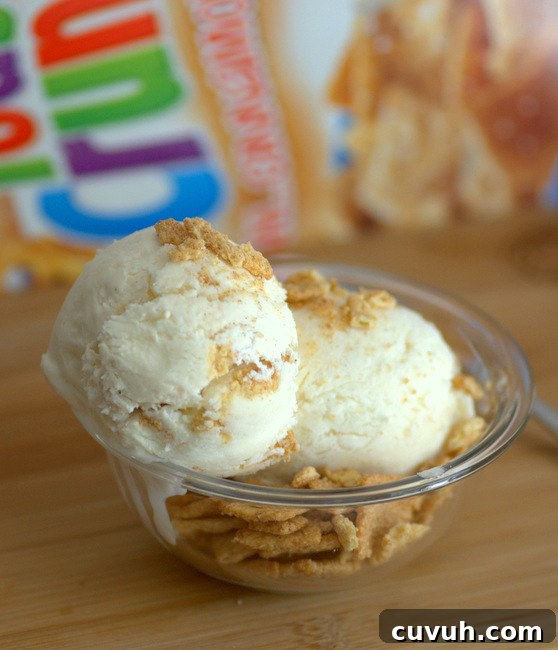 Cinnamon Toast Crunch Cereal Milk Ice Cream — No Churn Recipe 2 Cinnamon Toast Crunch Cereal Milk Ice Cream