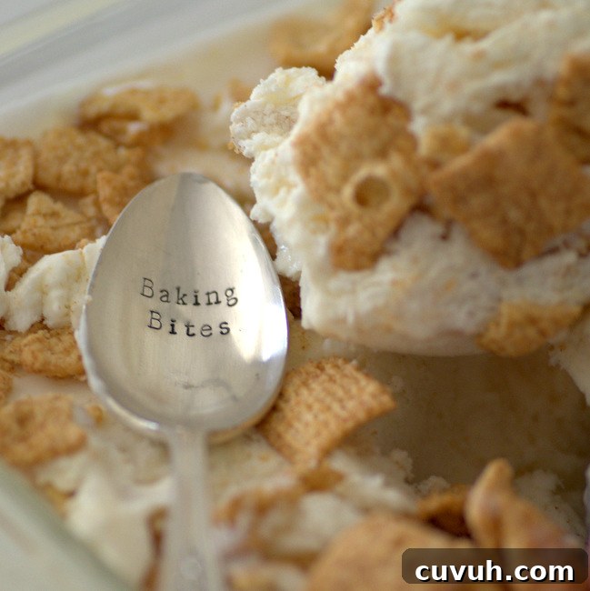 Cinnamon Toast Crunch Cereal Milk Ice Cream — No Churn Recipe 3 Cinnamon Toast Crunch Cereal Milk Ice Cream