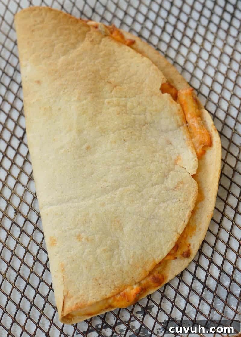 Air Fryer Quesadilla