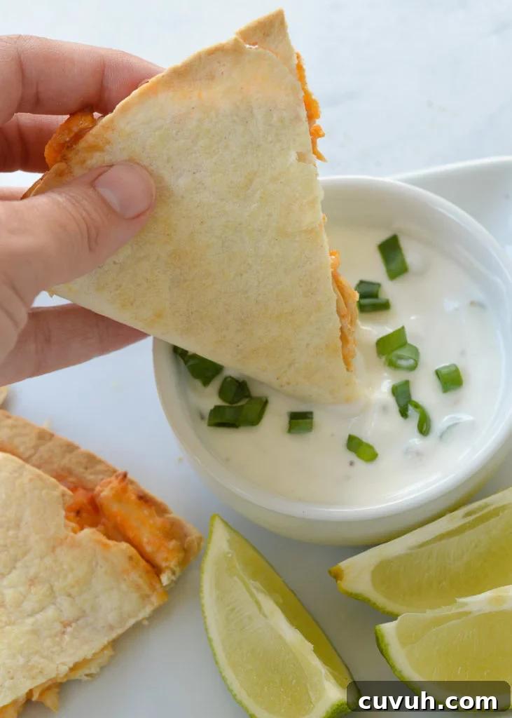 Air Fryer Quesadilla
