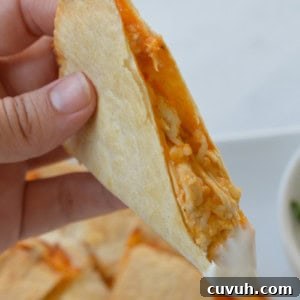Air Fryer Quesadilla