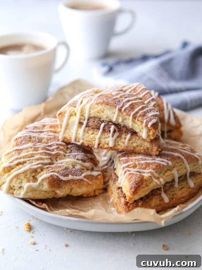 Top 2019 Recipes: Most-Loved Dishes and Viral Favorites 12 Cinnamon-sugar scones are light and tender and packed with so much cinnamon-sugar flavor!