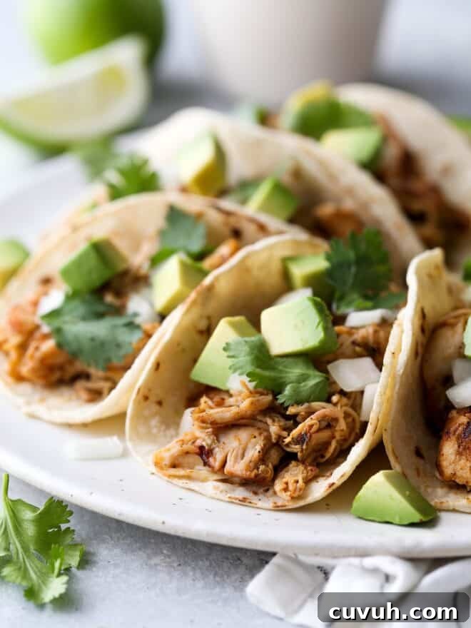 Top 2019 Recipes: Most-Loved Dishes and Viral Favorites 6 These easy Mexican street tacos filled with spiced shredded chicken, chopped onions, avocado, and cilantro are sure to become a favorite with everyone!