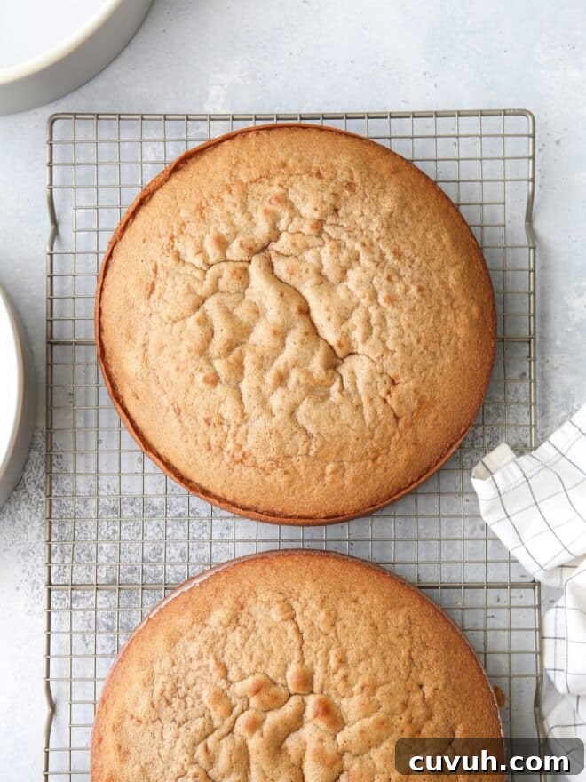 Top 2019 Recipes: Most-Loved Dishes and Viral Favorites 9 Prepare cake pans correctly and you'll never have a cake stick to the pan