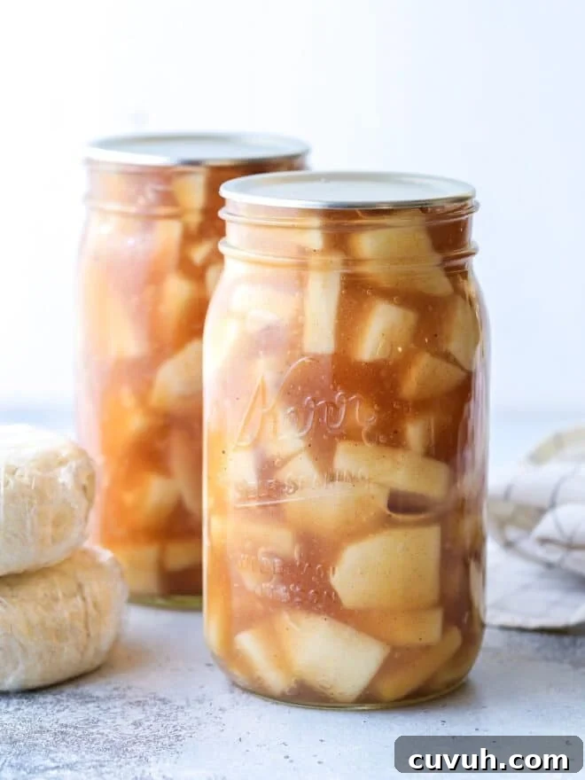 Top 2019 Recipes: Most-Loved Dishes and Viral Favorites 10 Homemade apple pie filling makes fall baking a snap!