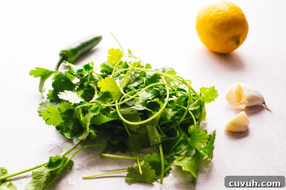 A rinsed bunch of coriander with garlic, green chilli and a lemon.