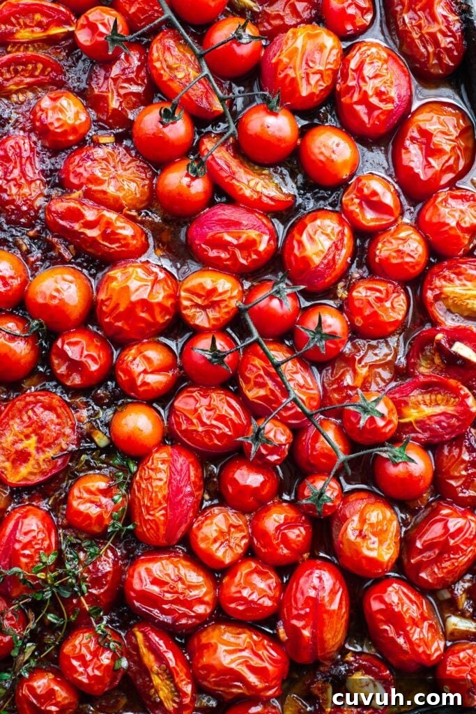 Oven-roasted harissa tomatoes in a tray viewed from above