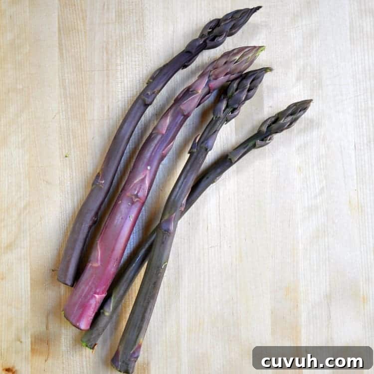 Purple Asparagus