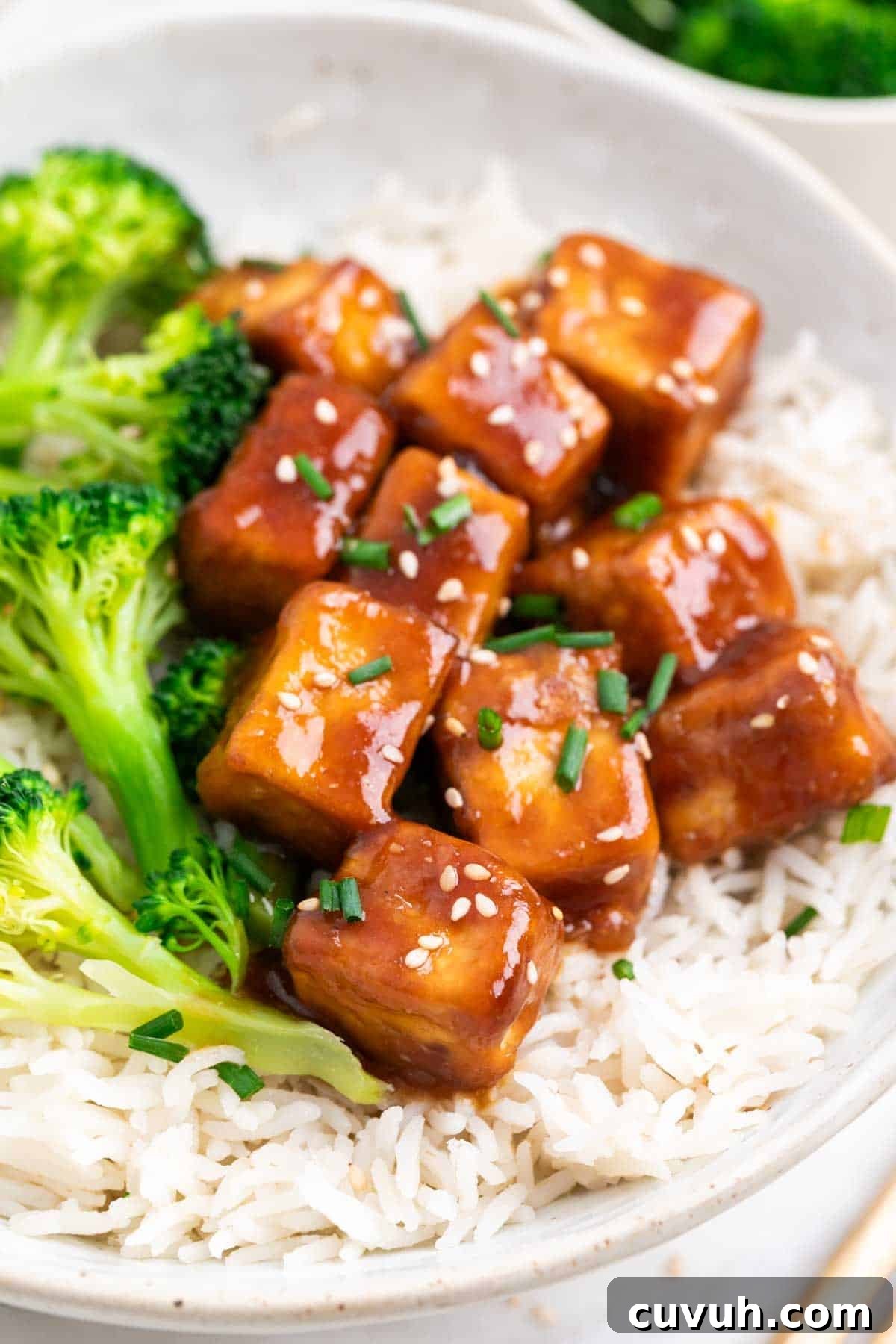Sticky Teriyaki Tofu Bowl with Sesame and Scallions 2 Bowl of teriyaki tofu served with rice, broccoli, sesame seeds, and chives.