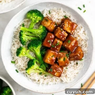 Sticky Teriyaki Tofu Bowl with Sesame and Scallions 12 Rice and broccoli bowls topped with teriyaki tofu, sesame seeds, and fresh chives.